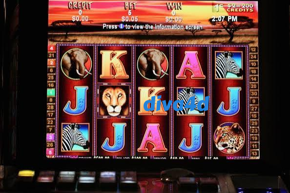 diva4d Slot Rooms Built for Your Lobby